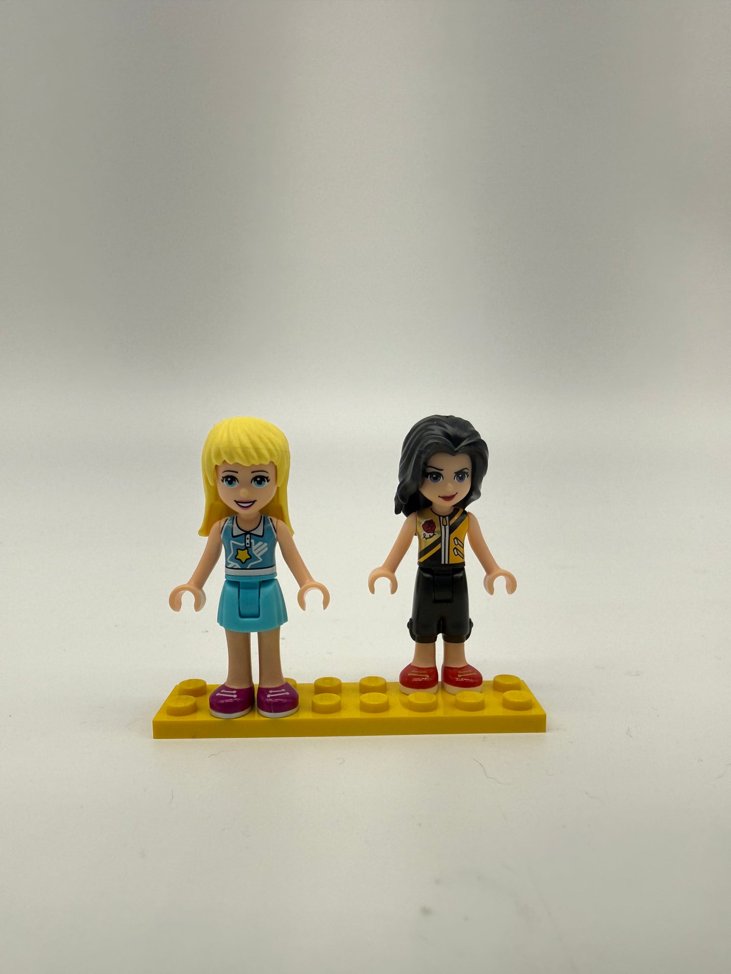 Stephanie's Sports Arena - Bricks and Minifigs Sioux Falls