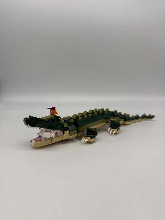 Crocodile