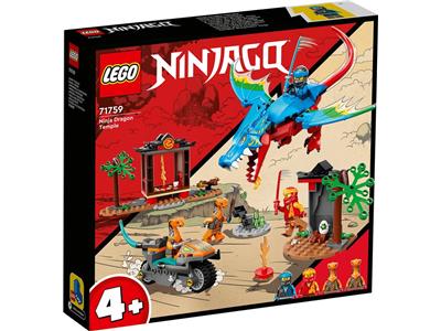 Ninja Dragon Temple