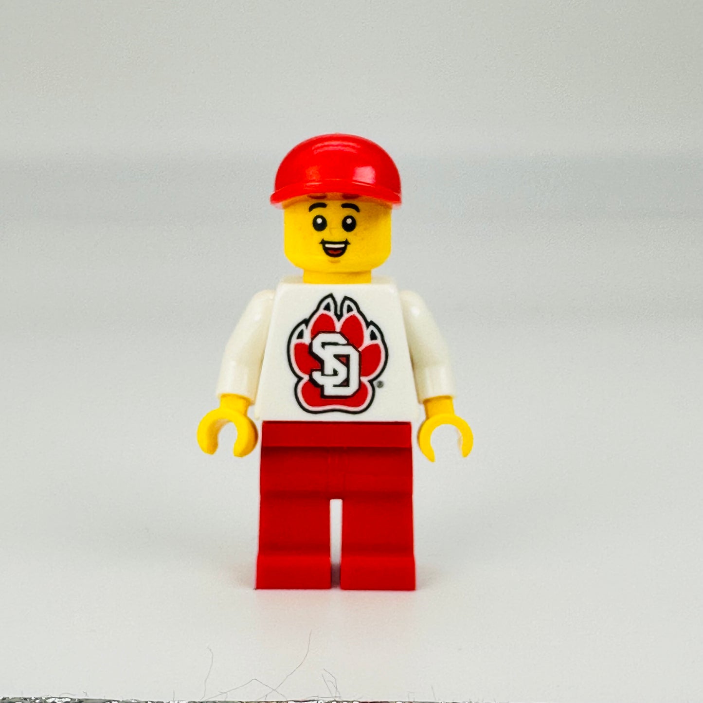 USD Licensed Custom Printed Minifigure